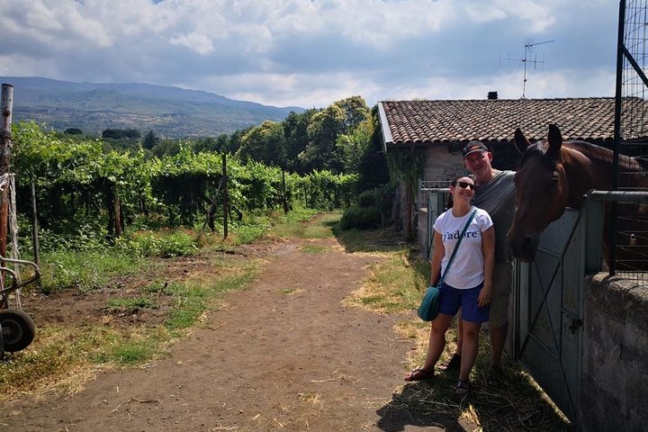 Etna Countryside Food & Wine Lovers Tour (Small Group or Private)