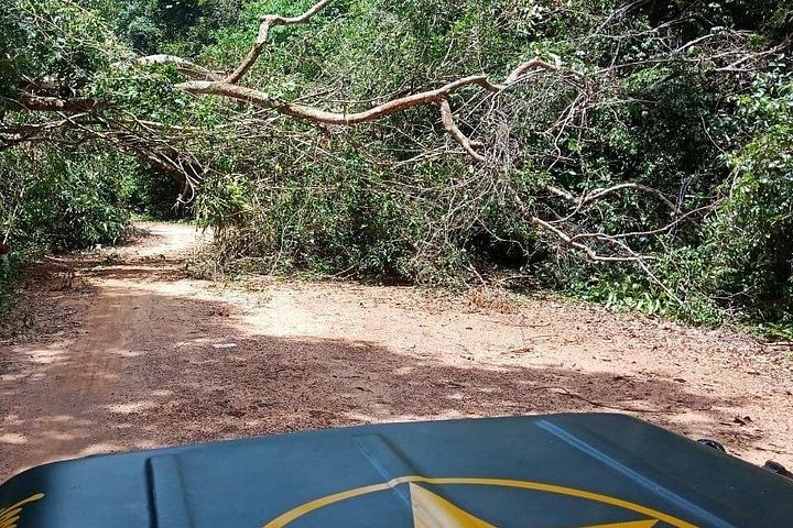 Explore the North of Phu Quoc island by Classical Army Jeeps