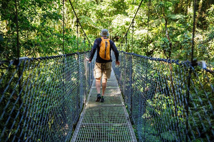 Puntarenas Shore Excursion: Rainforest Skywalk & Tarcoles River