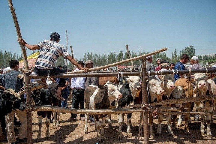 Full-inclusive Kashgar Private Day Tour with Sunday Market