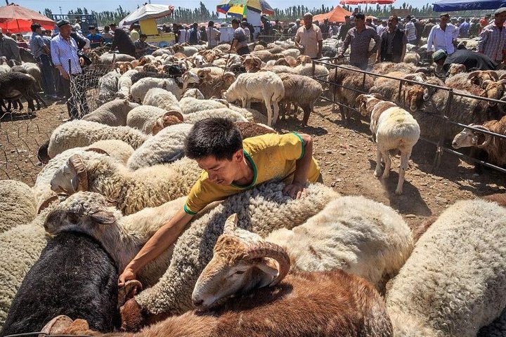 Full-inclusive Kashgar Private Day Tour with Sunday Market