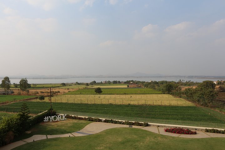 Discover the religious city: Nashik with wine tasting tour