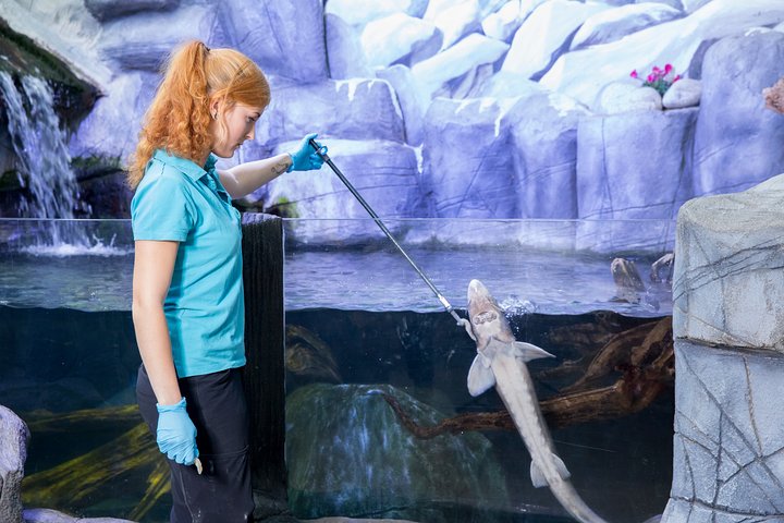 SEA LIFE Oberhausen Admission Ticket