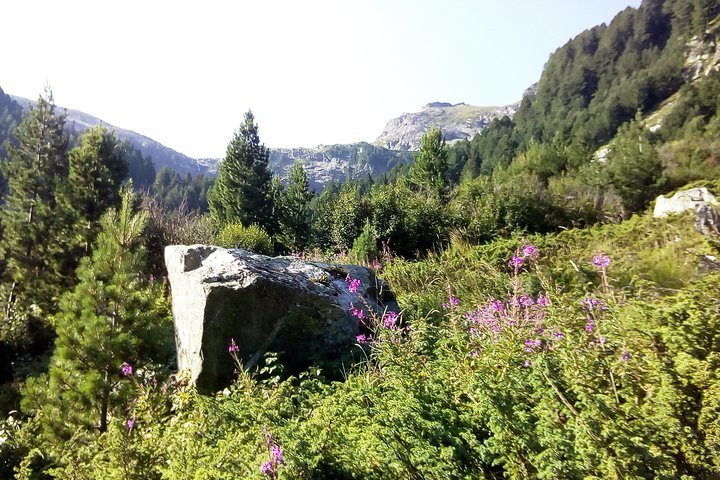 Private & Tremendous Jeep Safari in the 7 Rila Lakes area