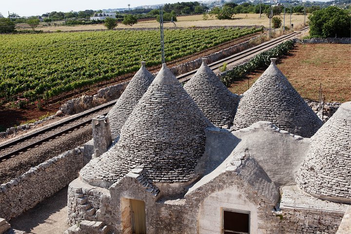 Private Wine Tour from Ostuni with Lunch including Alberobello and Locorotondo