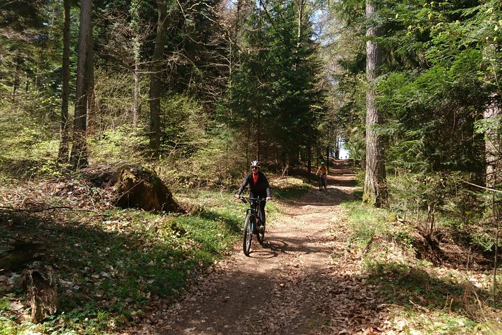 Electric mountain biking in Annecy