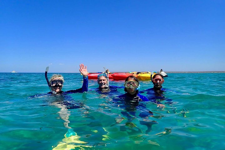 Turtle Tour - Ningaloo Reef Half Day Sea Kayak and Snorkel Tour