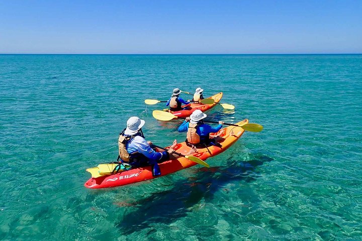 Turtle Tour - Ningaloo Reef Half Day Sea Kayak and Snorkel Tour