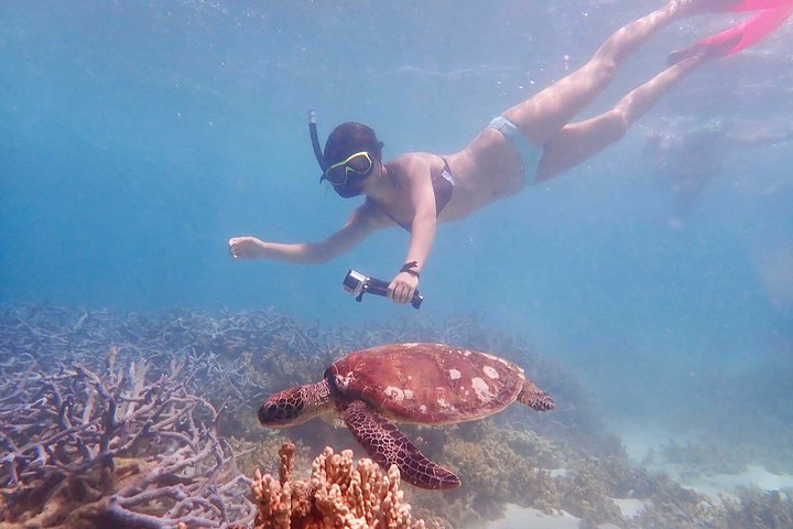 Turtle Tour - Ningaloo Reef Half Day Sea Kayak and Snorkel Tour