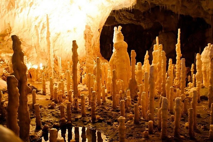 The Bear's Cave - One-Day Air conditioned car Tour from Oradea