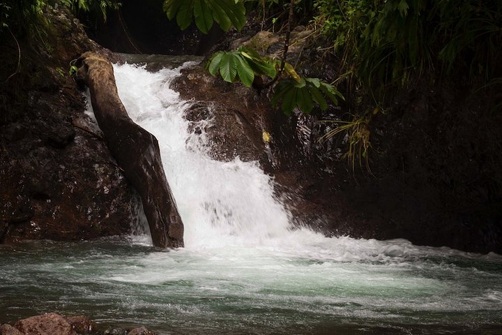 Manuel Antonio ATV Off Road Rainforest & Waterfalls Tour