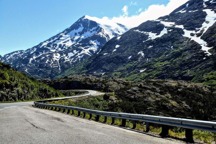 Skagway Shore Excursion: Half-Day Tour to the Yukon Border and Suspension Bridge