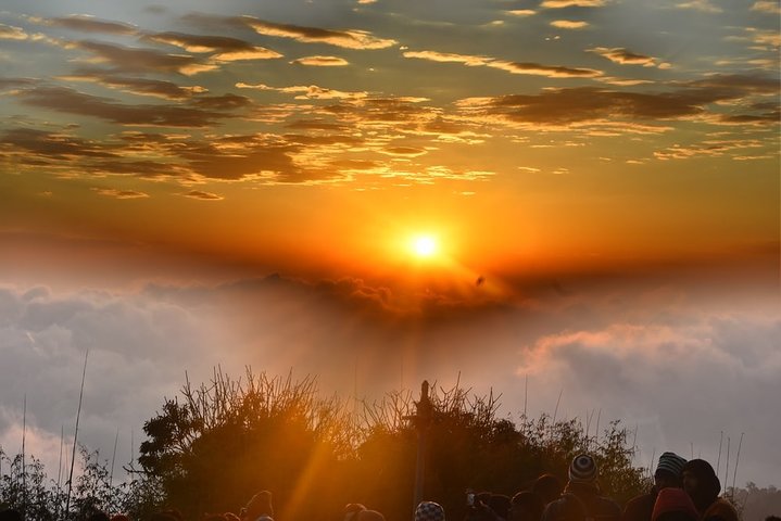 Day_Trippers (Darjeeling Full Day Tour).