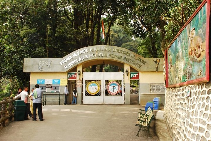 Day_Trippers (Darjeeling Full Day Tour).