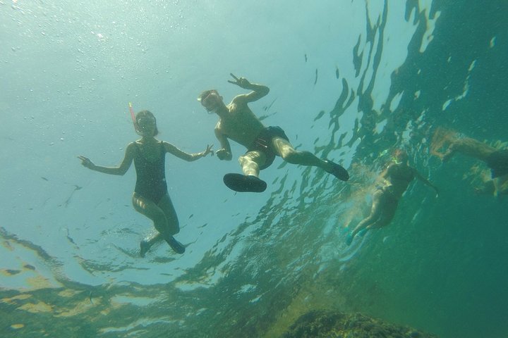 Kayak and snorkel excursion to Cova Tallada