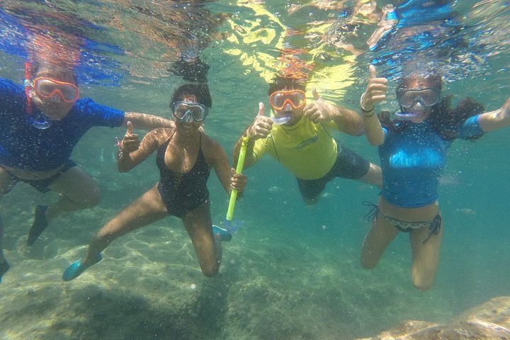 Kayak and snorkel excursion to Cova Tallada