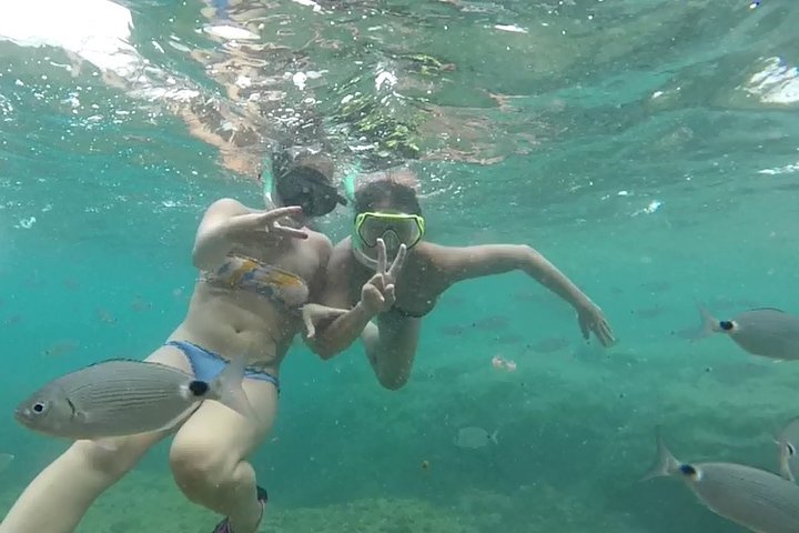 Kayak and snorkel excursion to Cova Tallada