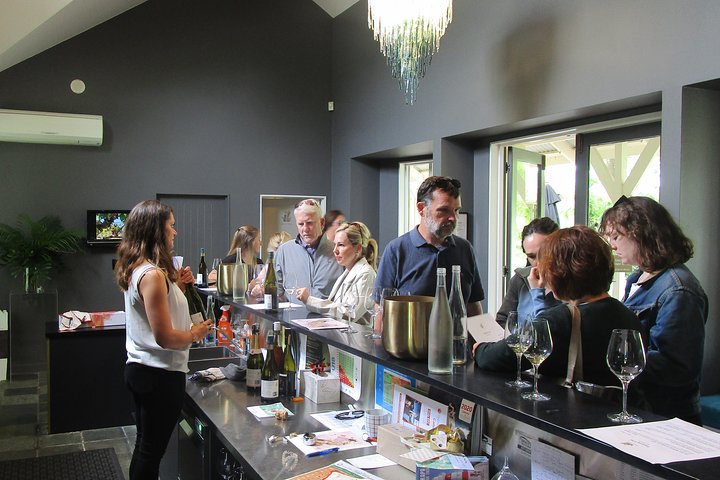 "Pinot to Palliser tour" - Guided tour to Cape Palliser vith lunch + winetasting