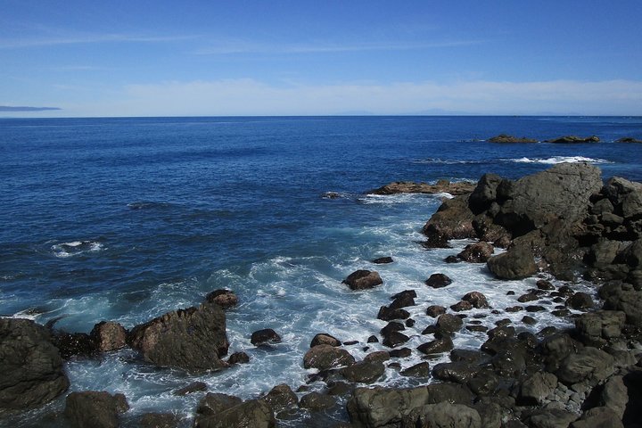 "Pinot to Palliser tour" - Guided tour to Cape Palliser vith lunch + winetasting