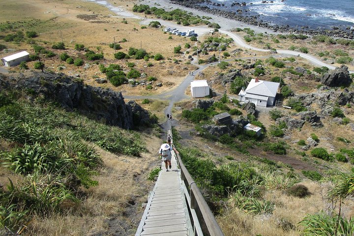 "Pinot to Palliser tour" - Guided tour to Cape Palliser vith lunch + winetasting