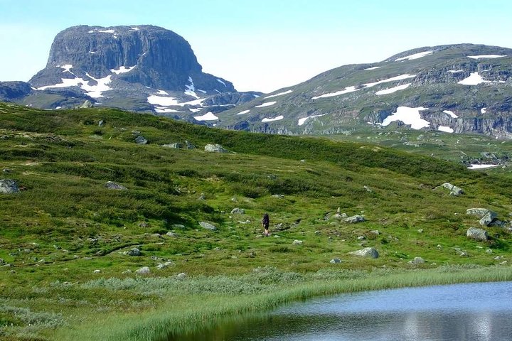 Oslo To Sognefjord Private Full Day Roundtrip Including Flam Railway
