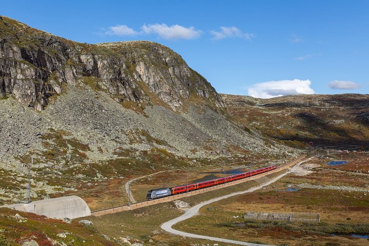 Oslo To Sognefjord Private Full Day Roundtrip Including Flam Railway