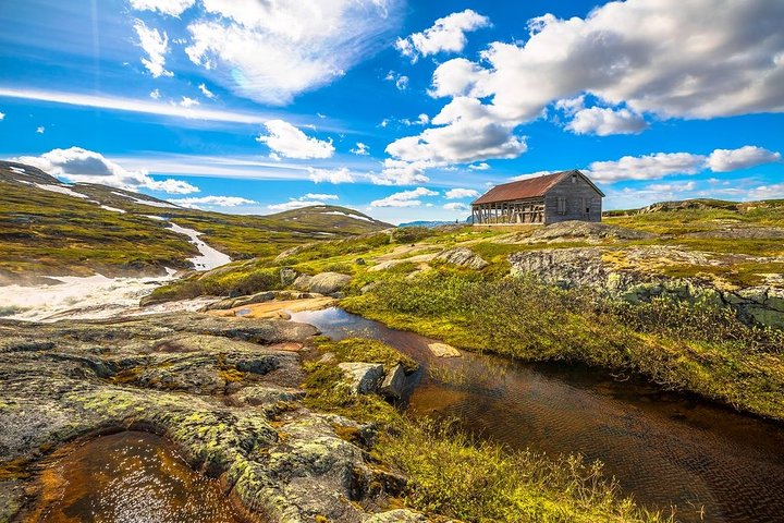 Oslo To Sognefjord Private Full Day Roundtrip Including Flam Railway