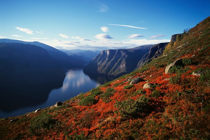 Oslo To Bergen Self-Guided Full Day Trip with Flåm Railway And Fjord Cruise