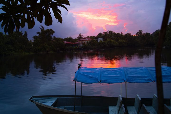 Fireflies Tour in Cherating
