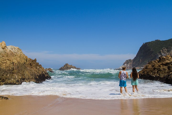 Explore The Garden Route - 4 Days