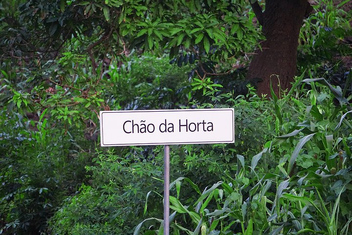 From Praia: Serra Malagueta to Principal Valley Hike & Lunch with a Local Family