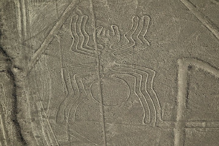 Nazca Lines Overflight Tour from Nazca