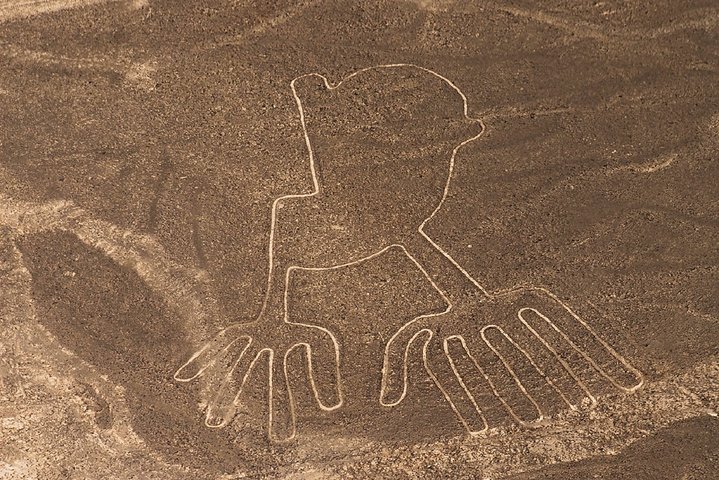 Nazca Lines Overflight Tour from Nazca