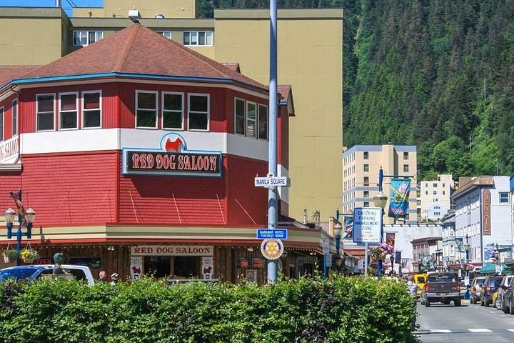 Ultimate Juneau Whale Watch