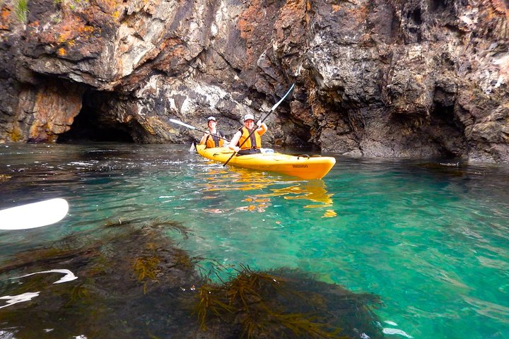 Half Day Sea Kayak Tour from Batemans Bay with Morning Tea