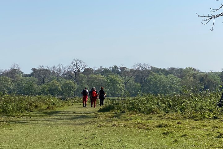 Nature Walk in Chitwan Jungle Safari with Guide