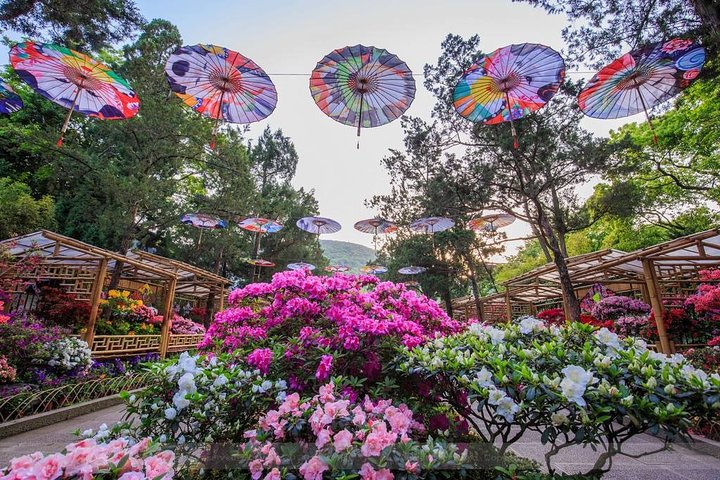 4-Hour Wuxi Private Tour: Huishan Old Town, Jichang Garden and Nanchan Temple
