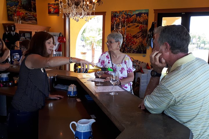 Kelowna or West Kelowna Afternoon Sightseeing Wine Tour