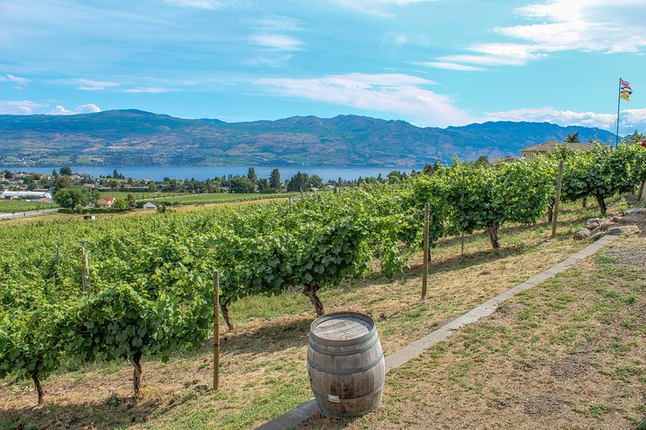 Kelowna or West Kelowna Afternoon Sightseeing Wine Tour