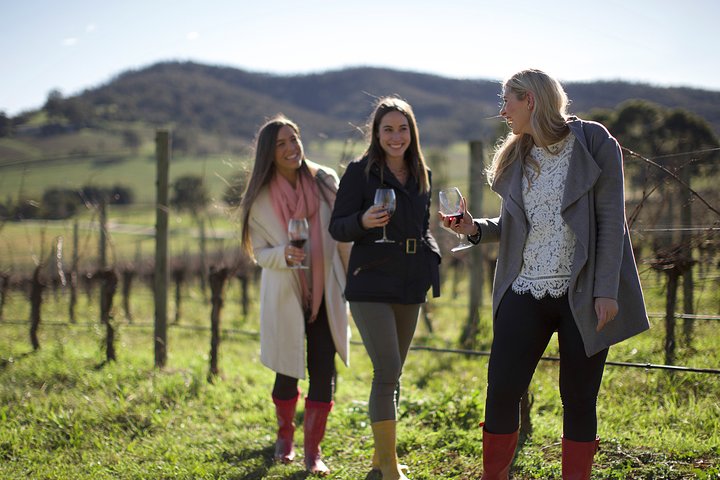 Yarra Valley Premium Tour inc Lunch and Cheese and Wine Pairing at De Bortoli