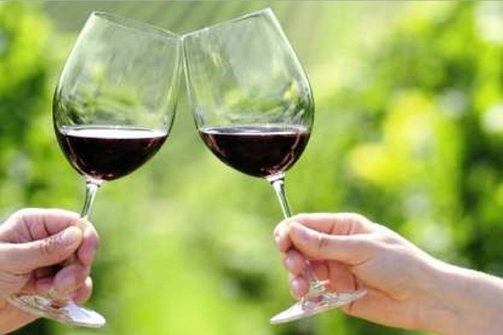 Yarra Valley Premium Tour inc Lunch and Cheese and Wine Pairing at De Bortoli