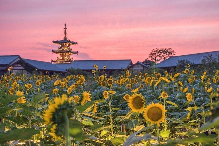 Nianhua Bay Private Half-Day Tour from Wuxi