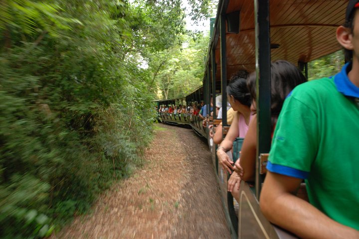 Iguazu Falls Tour, Boat Ride, Train and Safari Truck