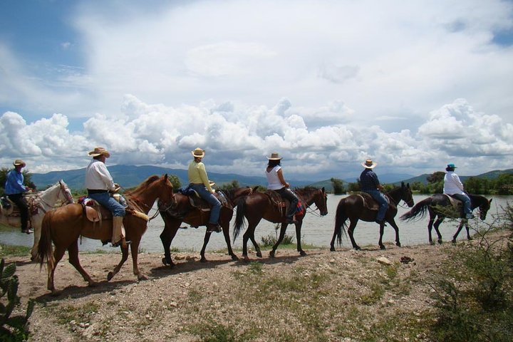 Half-Day Horseback Riding Adventure