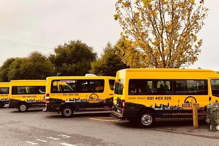 Hobbiton & Waitomo Caves Guided Day Trip from Auckland incl lunch