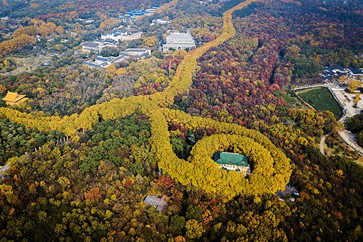 Nanjing Self-Guided Tour from Wuxi by Private Car with Drop-off Option