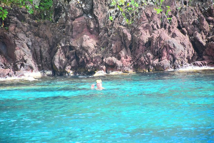 Martinique : Observation des dauphins et snorkeling