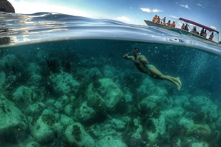 Martinique : Observation des dauphins et snorkeling