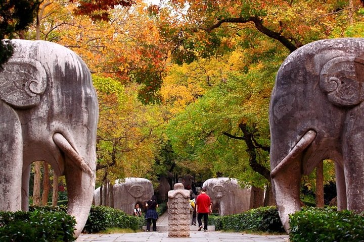 6-Hour Private Tour of Xiaoling Tomb,City Wall & Memorial Hall