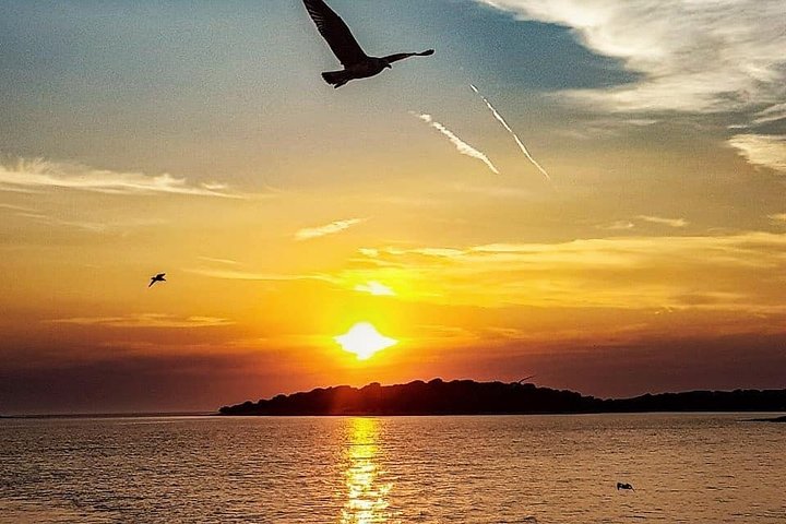 Dolphin Watching & Sunset Boat Tour With Drinks & optional Dinner